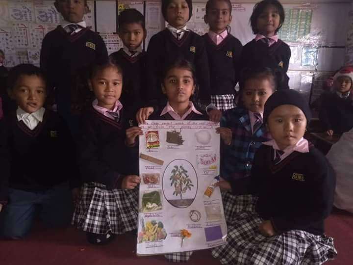 GORKHA MODEL SECONDARY SCHOOL