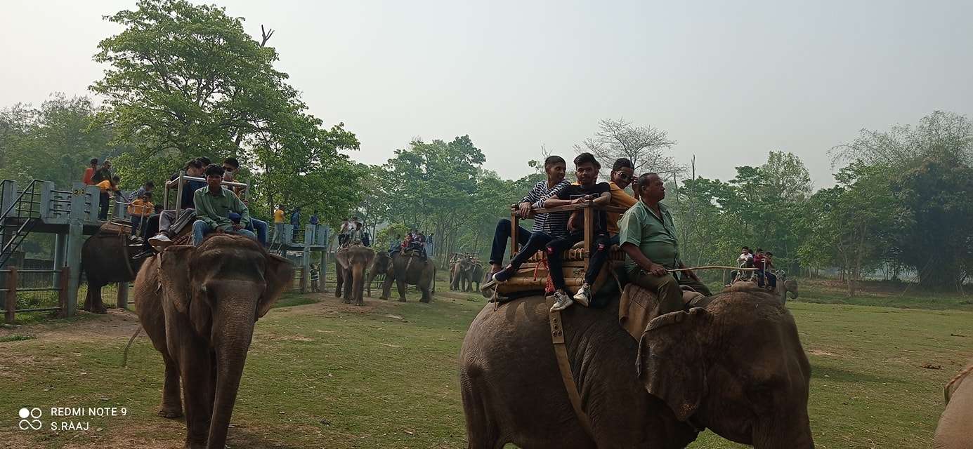Kadambari Academy School