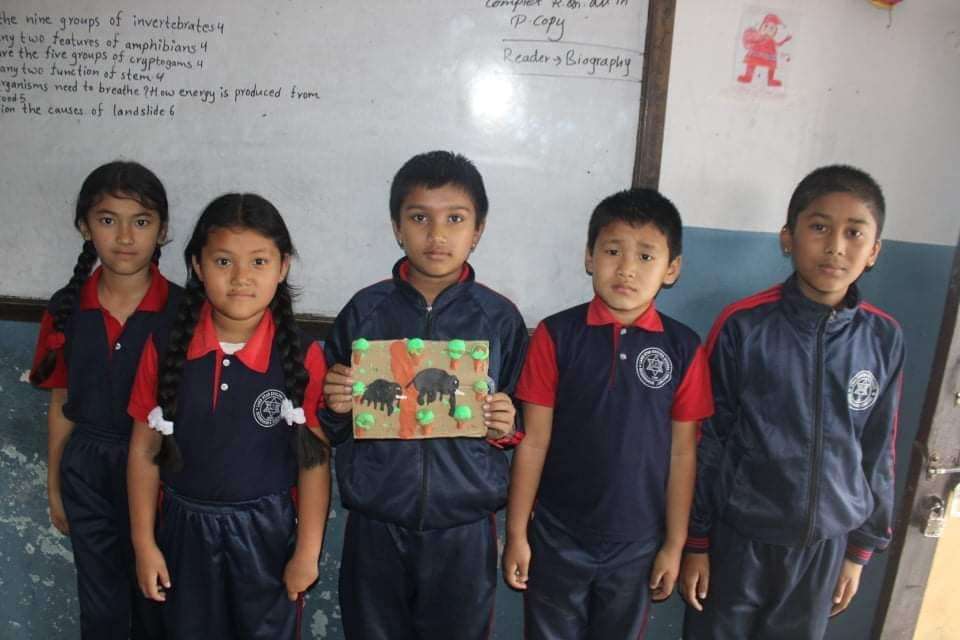 Land Star English School