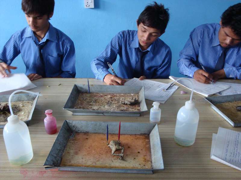 Srijana Secondary School