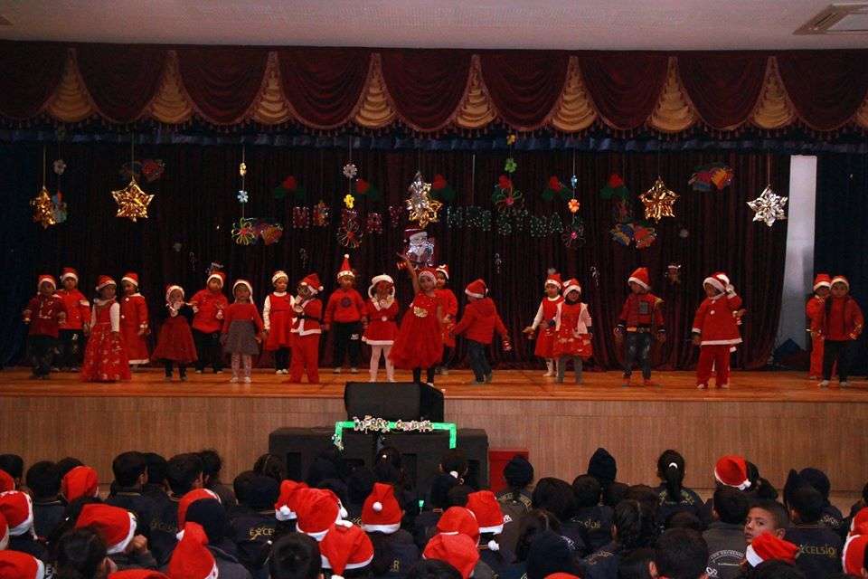 The Excelsior School