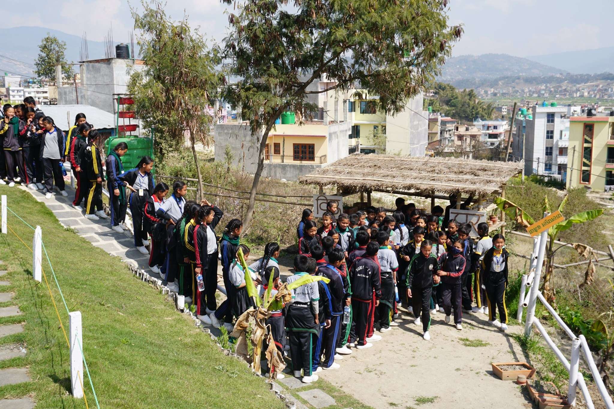 THE WORLD YOUTH INTERNATIONAL SCHOOL
